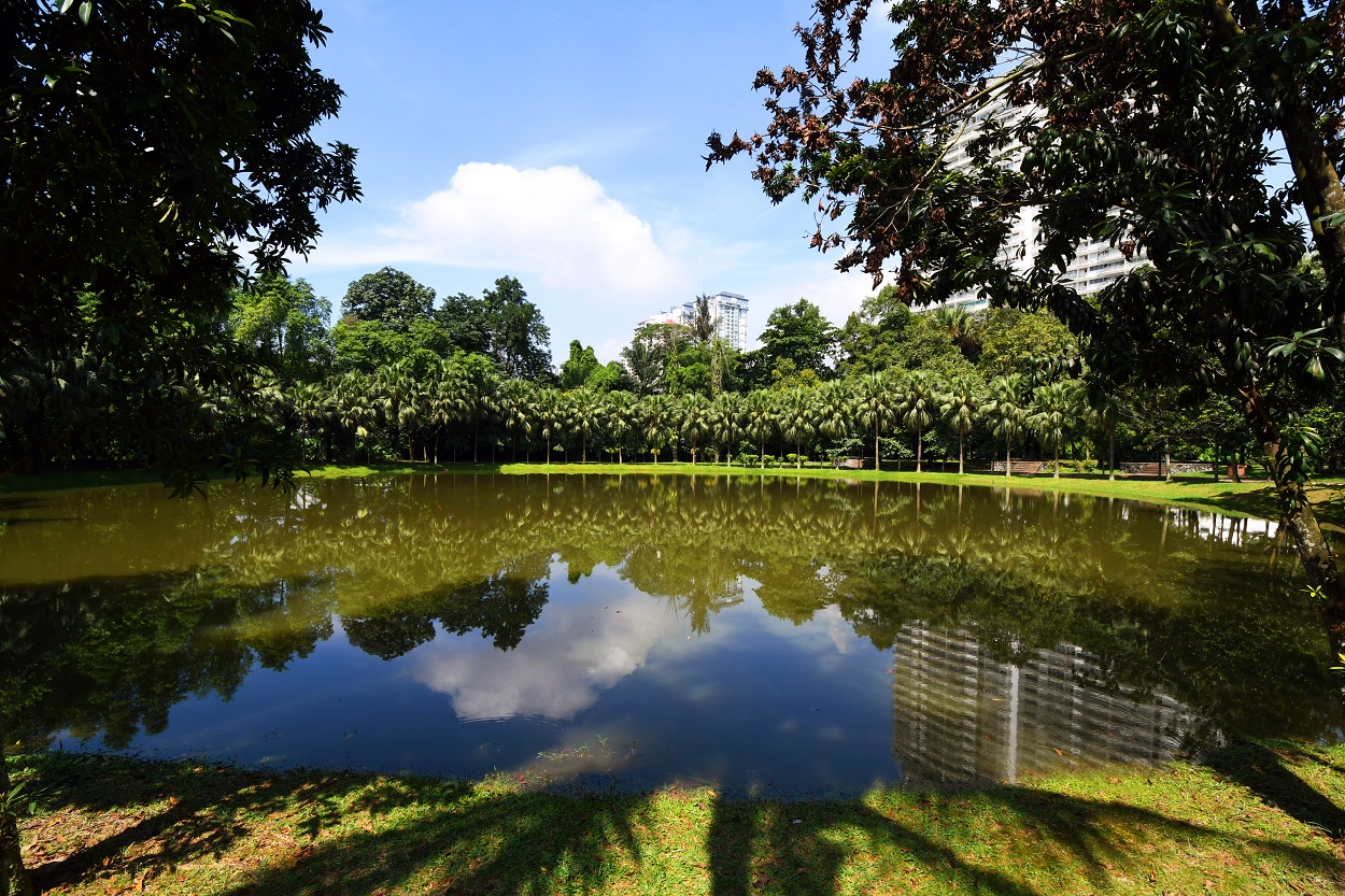 Taman Rimba Kiara (Photo by Low Yen Yeing/EdgeProp.my)